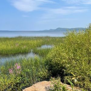 Summer is slipping away….